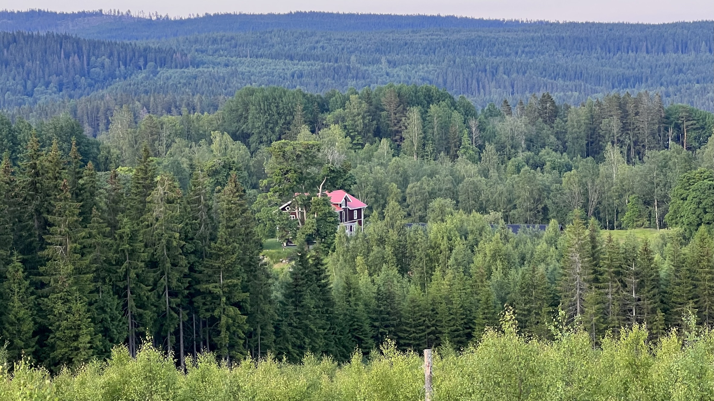 Torpet mitt i skogen